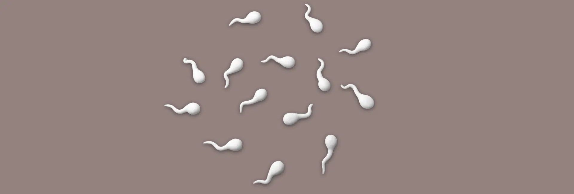 Sperm cells illustration – reproductive health blog Urologic Health Care Dubai
