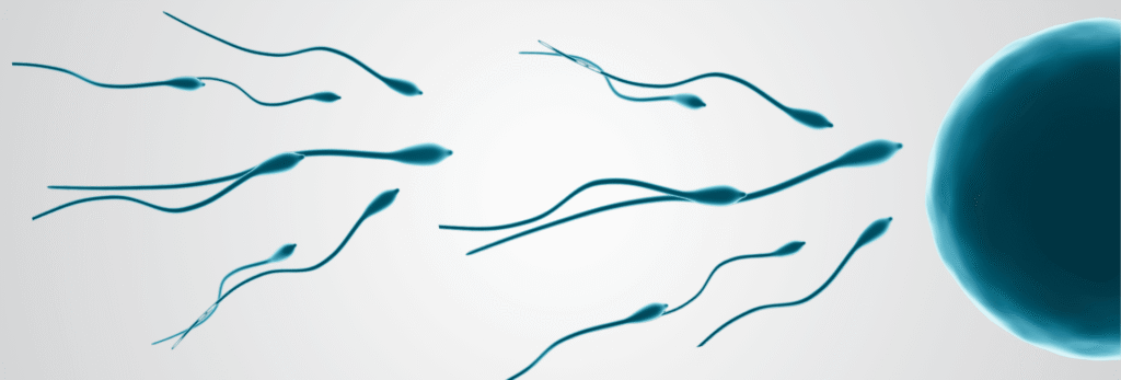 male infertility