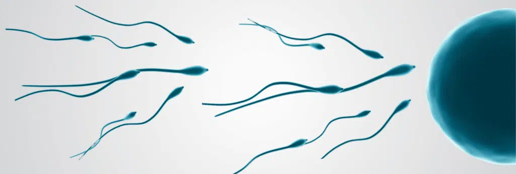 male infertility