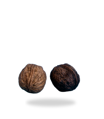 Specialist-Led Testicular Cancer Treatment in Dubai​